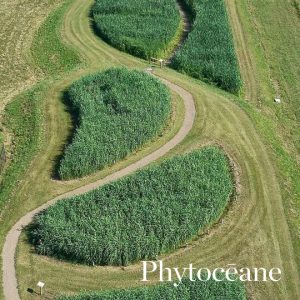 『PHYTOCEANE』 リブランディングにより製品ラインナップを拡大発売