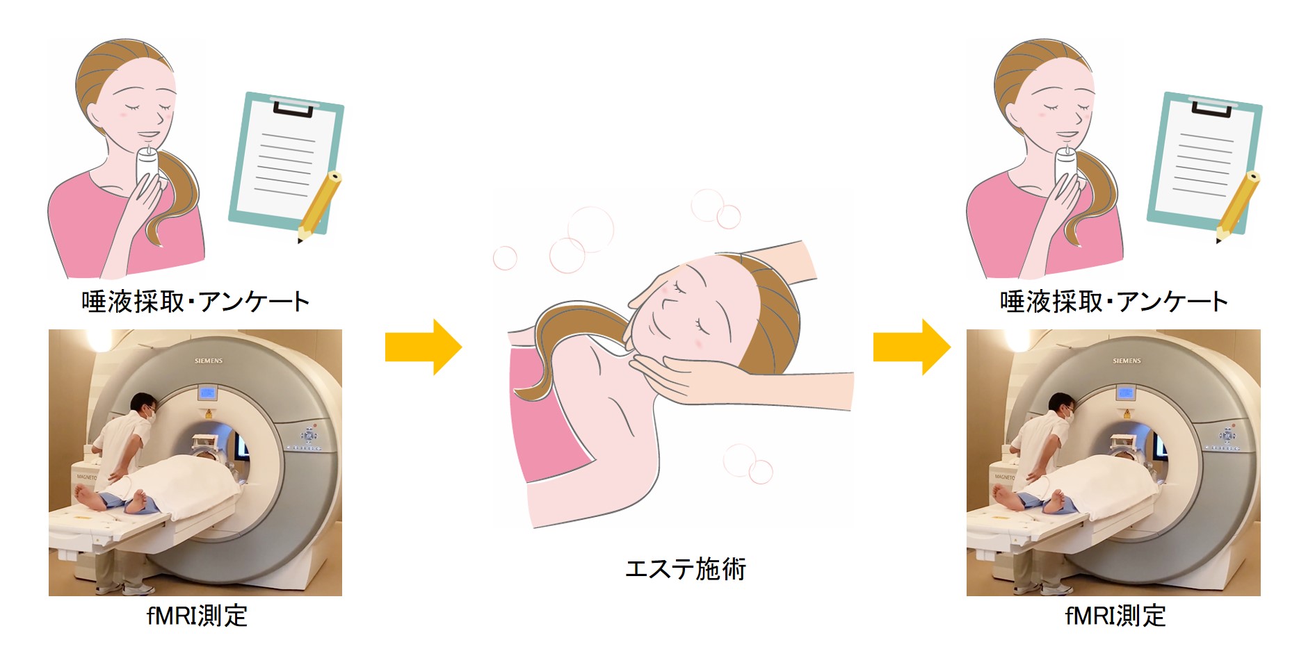 心地よいフェイシャルエステに関連する脳の活動領域を解明|日本メナード化粧品